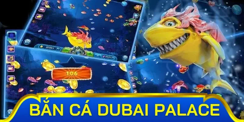 Vua săn cá đa dạng mức cược