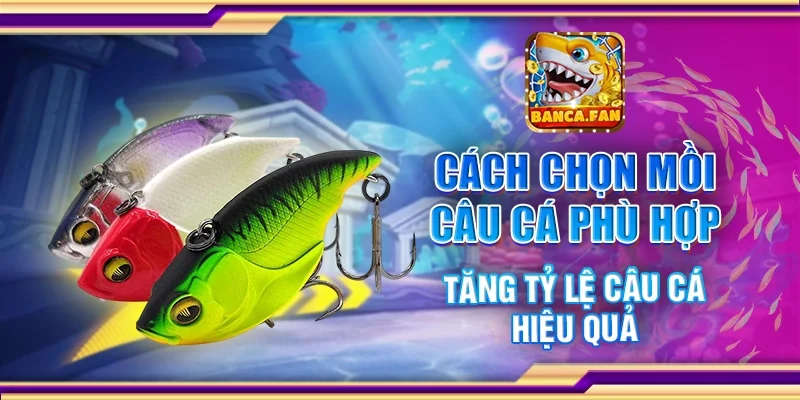 Cách Chọn Mồi Câu Cá Phù Hợp – Tăng Tỷ Lệ Câu Cá Hiệu Quả