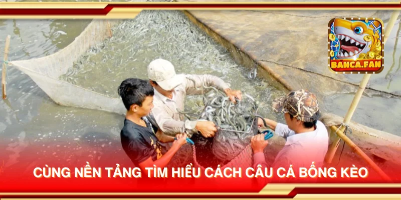 Cùng nền tảng tìm hiểu cách câu cá bống kèo
