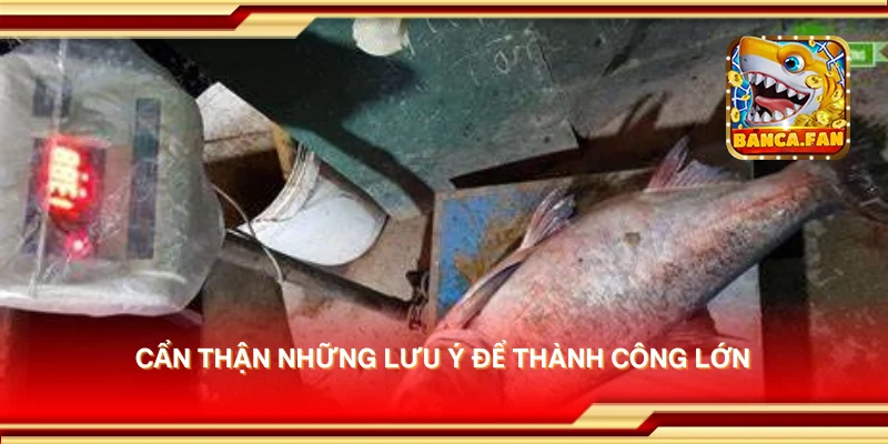 Cẩn thận những lưu ý để thành công lớn