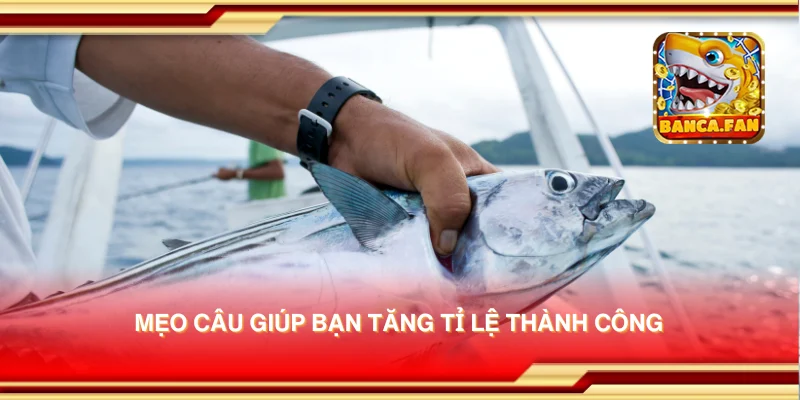 Mẹo câu giúp bạn tăng tỉ lệ thành công