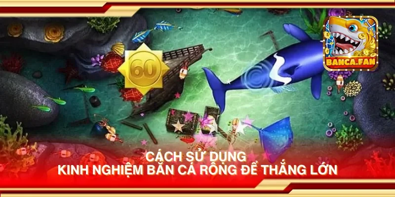 Cách sử dụng kinh nghiệm bắn cá rồng để thắng lớn