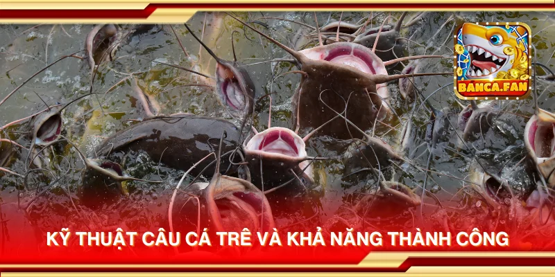 Kỹ thuật câu cá trê và khả năng thành công