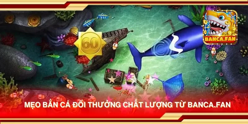 Mẹo bắn cá đổi thưởng chất lượng từ socios.news