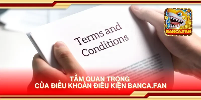 Tầm quan trọng của điều khoản điều kiện socios.news