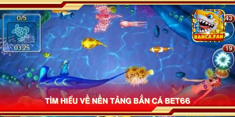 Tìm hiểu về nền tảng bắn cá Bet66