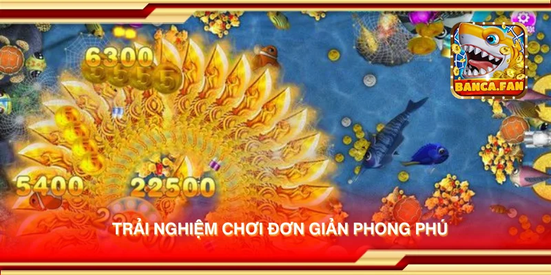 Trải nghiệm chơi đơn giản phong phú