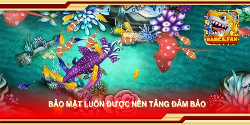 Bảo mật luôn được nền tảng đảm bảo
