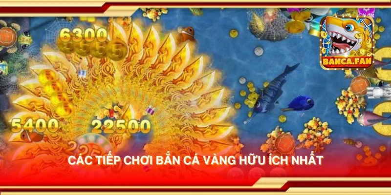 Các tiếp chơi bắn cá vàng hữu ích nhất