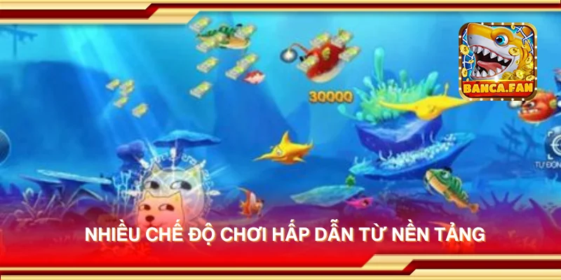 Nhiều chế độ chơi hấp dẫn từ nền tảng