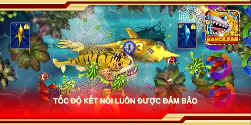 Tốc độ kết nối luôn được đảm bảo