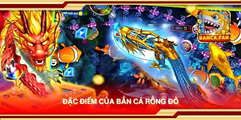 Đặc điểm của bắn cá rồng đỏ