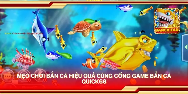 Mẹo chơi bắn cá hiệu quả cùng cổng game bắn cá quick68