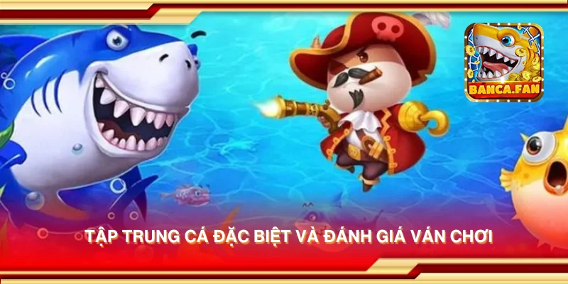 Tập trung cá đặc biệt và đánh giá ván chơi